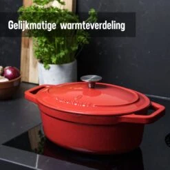 Daumonet Bocuse Rouge Gietijzeren Braadpan - Sudderpan Kersen Rood - Ovaal - Ø 29 Cm - 3 Liter - PFAS & PFOA Vrij - Emaille - Geschikt Voor Alle Warmtebronnen - Elektrisch - Gas - Halogeen - Inductie - Keramisch - Vaatwasserbestendig -Huis Keuken 1200x1200 1069