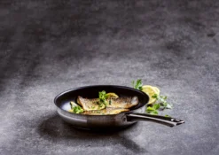 BK Allround Koekenpan Ø 28 Cm - Inductie - PFAS-vrij -Huis Keuken 1200x851 4