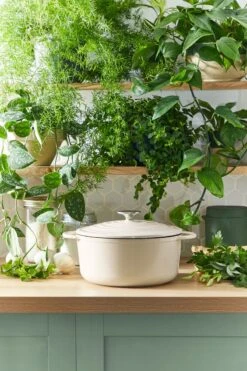 Tefal LOV Braadpan - 5L - Ø25 Cm - Beige -Huis Keuken 800x1200 22