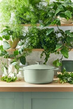 Tefal LOV Braadpan - 5L - Ø25 Cm - Groen 23 Tefal LOV Braadpan - 5L - Ø25 Cm - Groen -Huis Keuken 800x1200 24